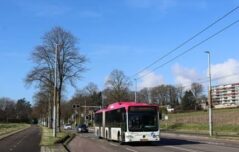 {{brizy_dc_image_alt entityId=