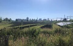 {{brizy_dc_image_alt entityId=